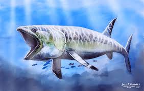 It is called great albino leedsichthys, as its whole. Leedsichthys Un Pez Museo Paleontologico Bariloche Facebook