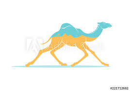 Now there has always been that question asked by many. Color Graphic Drawing Of Silhouette Of Running Arabic Camel Dromedary Inside Is Yellow Sahara Desert Pyramids Palms And Sky Vector Illustration Tourism Travel Egypt Isolated On Background Stock Vector Adobe Stock