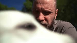 1,221 Pat Dog Stock Video Footage