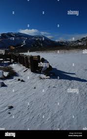 Michael aram hi-res stock photography and images