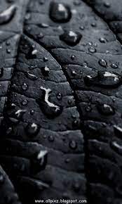 Free Download Samsung Mobile Hd Wallpapers