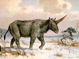 We did not find results for: Siberian Rhinoceros Unicorn May Have Lived Alongside Humans Wired Uk