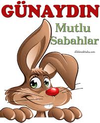 Https Encrypted Tbn0 Gstatic Com Images Q Tbn And9gcs2eooulyflvx2yyropgk Xsbtlaan2x19rqw Usqp Cau