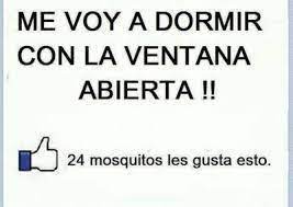 Resultado De Imagen De Buenas Noches Graciosas Frases Hilarantes Frases Educativas Mensajes De Humor