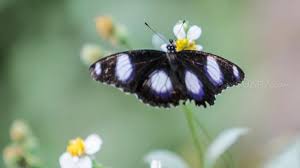 We did not find results for: Itu3gd9us7hikm