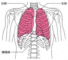 ãèºãã®ç»åæ¤ç´¢çµæ