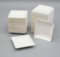 China 3/4" Leaf Appetizer Dishes - Compostable sugarcane ...