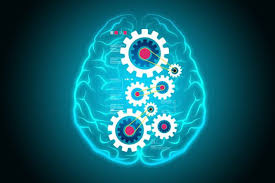 Fear of being ashamed, embarrassed or judged; Buff Your Brain Innercise Your Three Core Neuro Muscles Alina Bradford