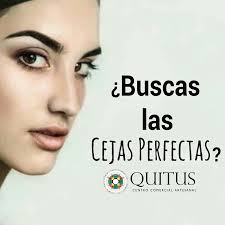 Todo lo encuentro en el Quitus