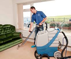 hire a professional carpet cleaner who knows which methods work best on different kind of rug how to clean carpet diy carpet cleaner carpet cleaning equipment