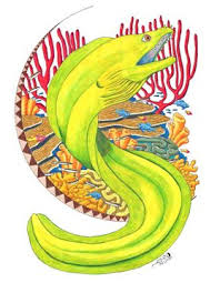 Nocturnal Sea Printing Llc Moray Eel Shirt Really Cool Drawings Cool Drawings Moray Eel