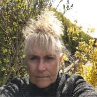 70+ "Inge Jacobsen" profiles