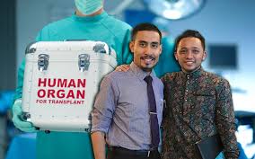 Derma organ, kuala lumpur, malaysia. Umat Islam Tidak Perlu Takut Untuk Menjadi Penderma Organ Ini Penjelasannya Iluminasi