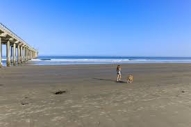 Check spelling or type a new query. Things To Do In La Jolla With Kids Or Toddlers Family Attractions