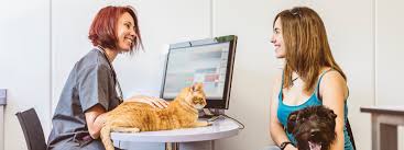 What Is a Fear Free® Veterinary Hospital and What Are The Benefits?
