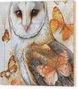 Blissful Barn Owl Art Print by Tina LeCour - Tina LeCour - Website