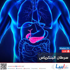 It is made in the pancreas and the glands that make saliva. Ù†Ø§Ø³Ø§ Ø¨Ø§Ù„Ø¹Ø±Ø¨ÙŠ Ø³Ø±Ø·Ø§Ù† Ø§Ù„Ø¨Ù†ÙƒØ±ÙŠØ§Ø³