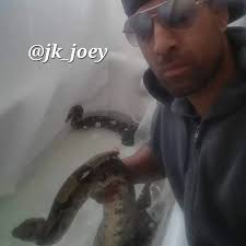 Reptile Boulevard (@reptile_boulevard) • Instagram photos and videos