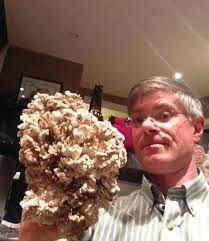 EPIgram Volume 6.indd