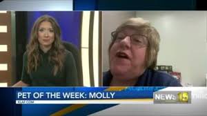 Meet Molly, Lafayette Animal Shelter and Care Center's Pet of the Week