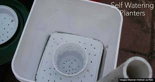 We did not find results for: The Best Self Watering Planters For Different Growing Needs