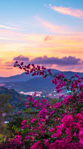 If this wallpaper resolution smaller then your screen resolution, please go back to resolution choice page and choose the biggest one according to your monitor propotion. 95 Spring Nature Android Iphone Desktop Hd Backgrounds Wallpapers 1080p 4k 1080x1920 2021