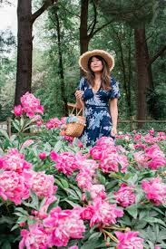 It's easy to do when you use a reputable international florist. Every Single Flower Field In Washington Dc Maryland And Virginia Flower Field Cherry Blossom Dc Washington Dc Photography