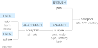 The difference between prone, supine, and prostrate synonym discussion of prone. ÙÙŠ Ø§Ù„Ø¹Ø±Ø¨ÙŠØ© Ù‚Ø§Ù…ÙˆØ³ Ø§Ù„ØªØ±Ø¬Ù…Ø©cesspool Ù…Ø§ Ù‡Ùˆ Ù…Ø¹Ù†Ù‰ ÙƒÙ„Ù…Ø© Cesspool Ù…Ø§Ø°Ø§ ØªØ¹Ù†ÙŠ