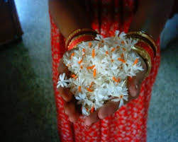 Parijat In Hindi Shefaly In Bengali The Sweetest Smelling Night Blooms Fragrance Natural Gifts Plant Zones