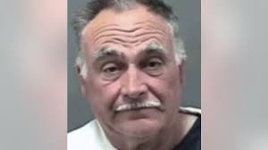 Man faces 14 charges after cats found stuffed in kennels outside foreclosed  home in Caledonia