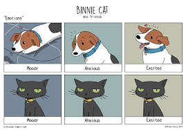 Check spelling or type a new query. Cat Quotes Tumblr Funny Quotes On Backgrounds Funny Dogtrainingobedienceschool Com