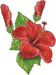 10 Vivacious Hardanger Embroidery Ideas Embroidery Flowers Pattern Machine Embroidery Designs Sewing Embroidery Designs