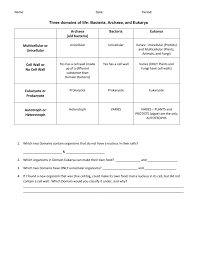 Domain And Kingdom Worksheet