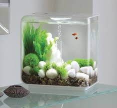 We did not find results for: Acrylic Aquarium Tank Cheap Buy Online