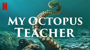 Freelance conservation journalist and filmmaker with @seachangeproject. My Octopus Teacher De Pippa Ehrlich E James Read