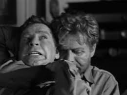 TV Show Episode Review: Botanist of the Year and German Spies