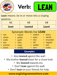 نتیجه جستجوی لغت [leaned] در گوگل