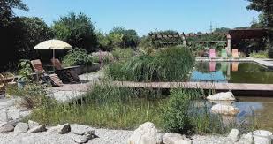 Feuchtbiotop im garten 5 buchstaben. Biotop Fur Naturliebhaber Flaechenlust Grunraumdesign