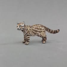 Help improve our database by adding a synopsis here. 1 20 Colo Colo Leopardus Colocolo Http Divartsity Weebly Com Copies Html Animal Photo Animals Felidae