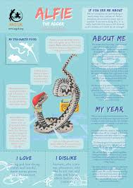 Even if you are a zoologist, you might be amazed by some of these interesting fun facts about animals. Kids Fun Fact Sheets Amphibian And Reptile Groups Of The Uk