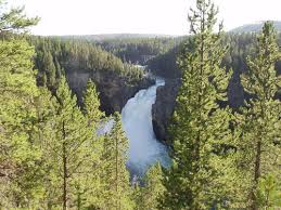 Sightseeing tours · top attraction tickets · easy price comparison Yellowstone National Park Wyoming Beliebte Routen Alltrails