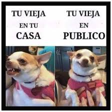 Resultado de imagen para IMAGENES GRACIOSAS