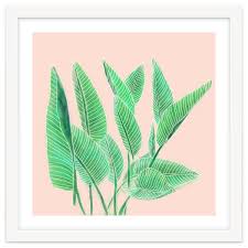 Many of the pictures i found were simply antique prints, as many of the species were so elusive that. Modern Hand Painted Tropical Green Watercolor Leaf Bird Of Paradise Art Print Framed By Arthaus In Art Prints