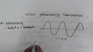 Gelombang transversal adalah gelombang yang arah perambatannya tegak lurus dengan arah getaran partikelnya. Cara Menetukan Jumlah Gelombang Transversal Youtube