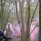 Ambush Airsoft Sunday 9th November event image