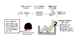 ボード 体 のピン