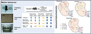 Image result for Extrapyramidal Side Effect