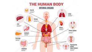 Maybe you would like to learn more about one of these? à®Žà®£ à®£à®± à®± à®…à®¤ à®šà®¯à®™ à®•à®³ à®¨ à®± à®¨ à®¤ à®®à®© à®¤ à®‰à®Ÿà®² Rare Information About The Human Body