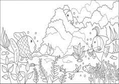 (anatomie) het gekleurde vlies in het oog waarin de pupil zich bevindt. 23 Ideeen Over De Mooiste Vis Van De Zee Vis Vissen The Rainbow Fish