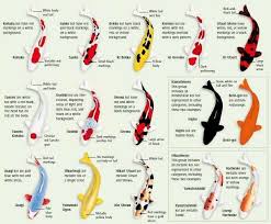 Color Symbolism Koi Fish Color Meaning Chart Www